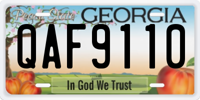 GA license plate QAF9110