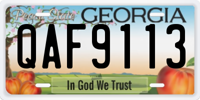 GA license plate QAF9113