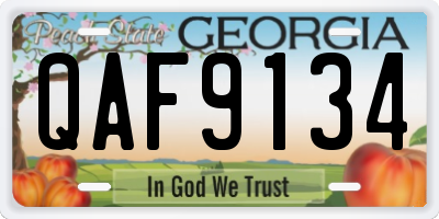 GA license plate QAF9134