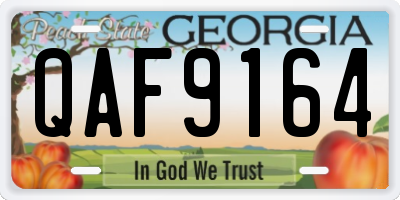 GA license plate QAF9164