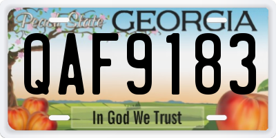 GA license plate QAF9183