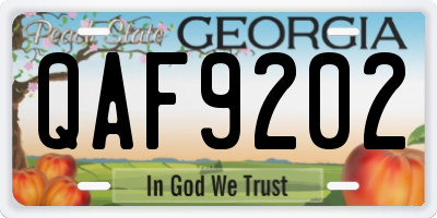 GA license plate QAF9202