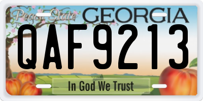 GA license plate QAF9213