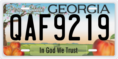 GA license plate QAF9219