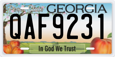 GA license plate QAF9231