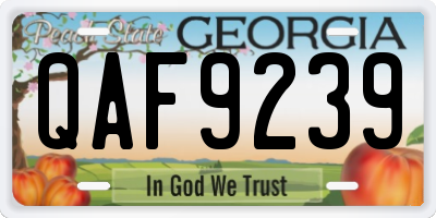 GA license plate QAF9239