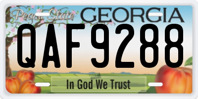 GA license plate QAF9288