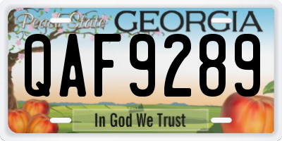 GA license plate QAF9289