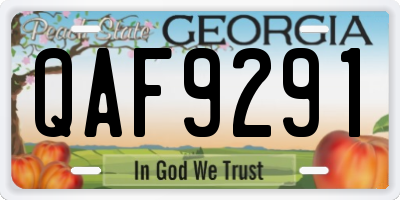 GA license plate QAF9291
