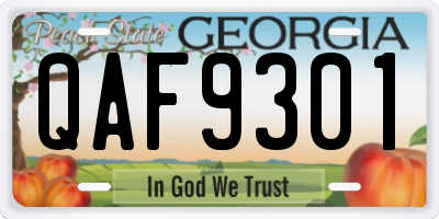 GA license plate QAF9301