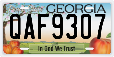 GA license plate QAF9307