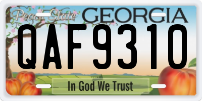 GA license plate QAF9310