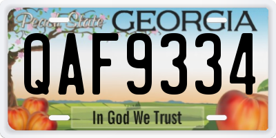 GA license plate QAF9334