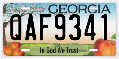 GA license plate QAF9341