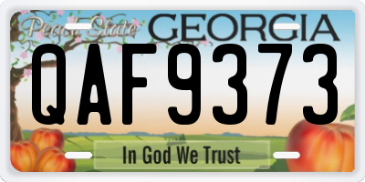 GA license plate QAF9373