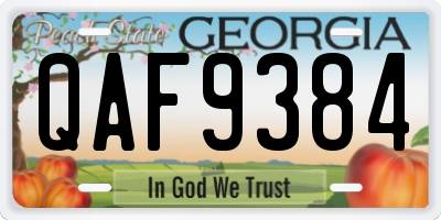 GA license plate QAF9384