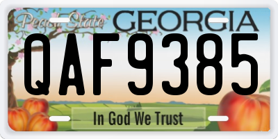 GA license plate QAF9385