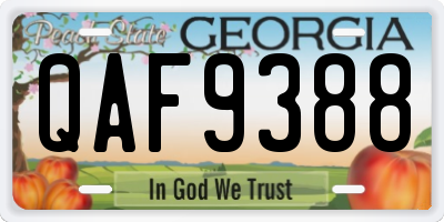GA license plate QAF9388