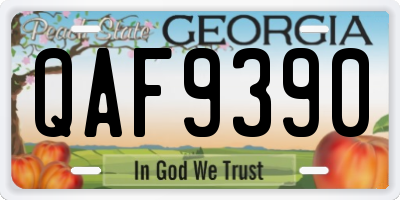GA license plate QAF9390