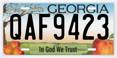 GA license plate QAF9423