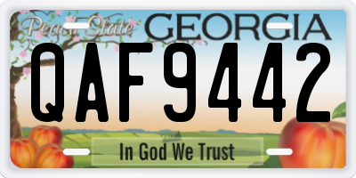 GA license plate QAF9442