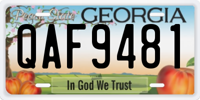 GA license plate QAF9481