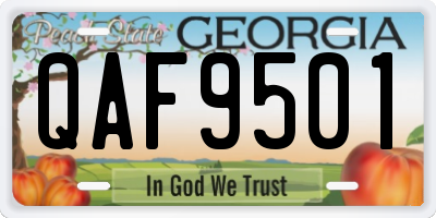 GA license plate QAF9501