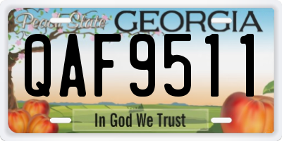 GA license plate QAF9511