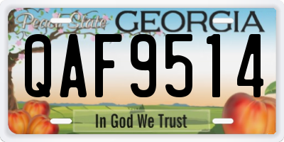 GA license plate QAF9514