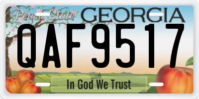 GA license plate QAF9517