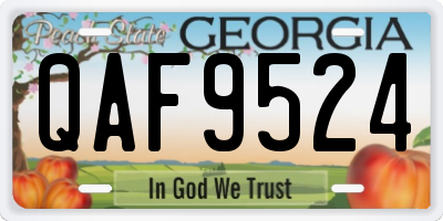 GA license plate QAF9524