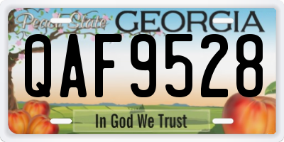 GA license plate QAF9528