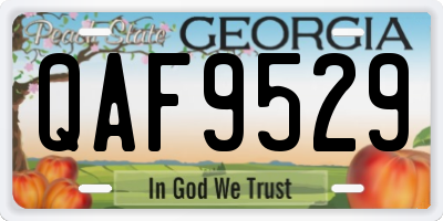 GA license plate QAF9529