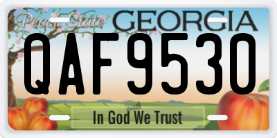 GA license plate QAF9530