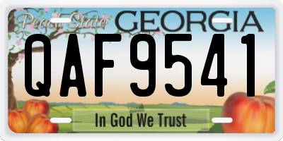 GA license plate QAF9541