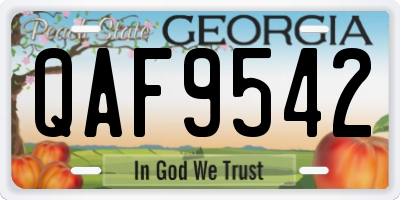GA license plate QAF9542