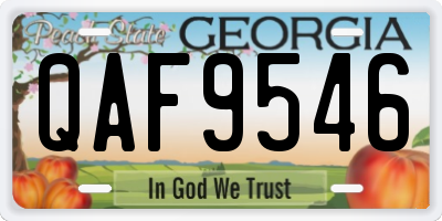 GA license plate QAF9546
