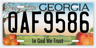 GA license plate QAF9586