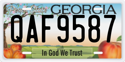 GA license plate QAF9587