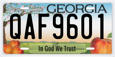 GA license plate QAF9601