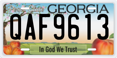 GA license plate QAF9613