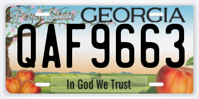 GA license plate QAF9663