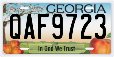 GA license plate QAF9723