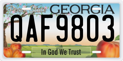 GA license plate QAF9803