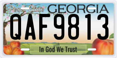 GA license plate QAF9813