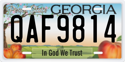 GA license plate QAF9814