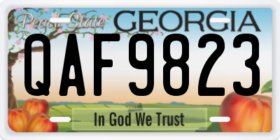 GA license plate QAF9823