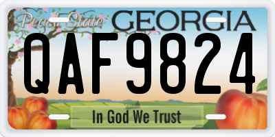 GA license plate QAF9824