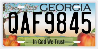 GA license plate QAF9845