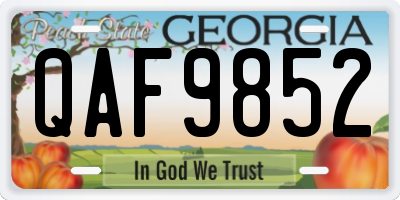 GA license plate QAF9852